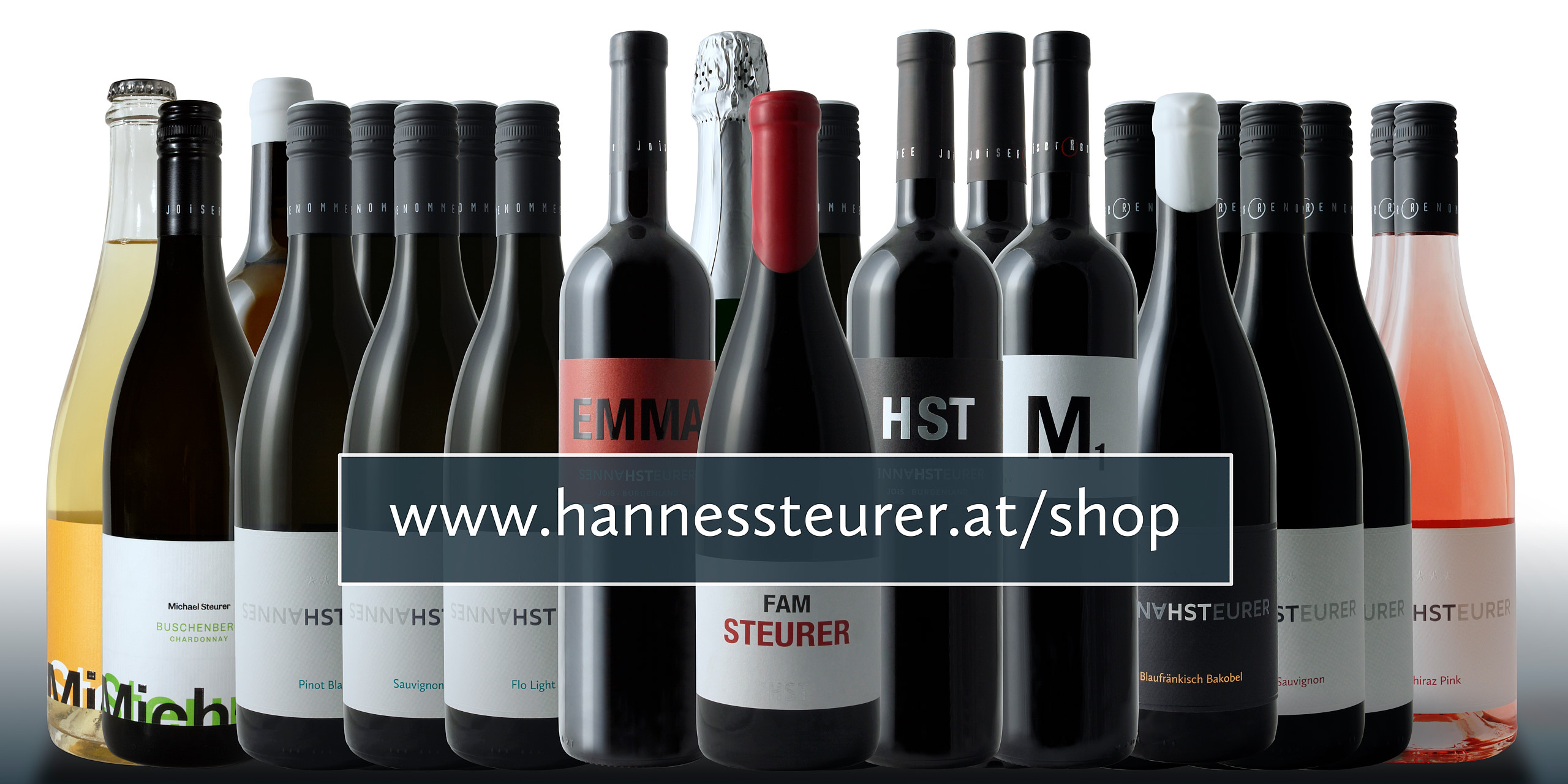 HST HANNES STEURER www.hannessteurer.at/shop